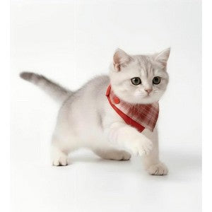 Cat bandana collar adjustable pet scarf